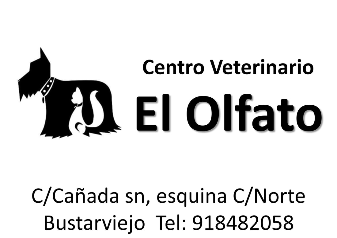Centro Veterinario El Olfato